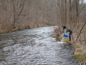 Carpenters Fish Hatchery 6